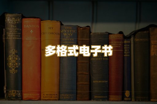 PDF电子书下载